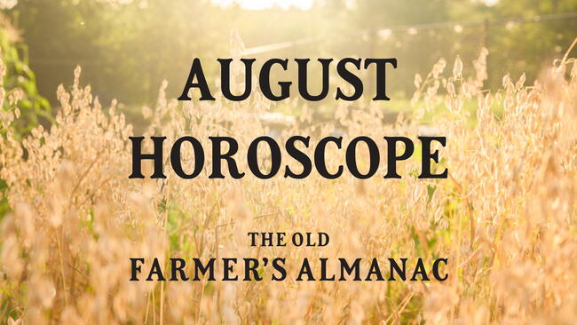 wheat field, august horoscope, the old farmer's almanac