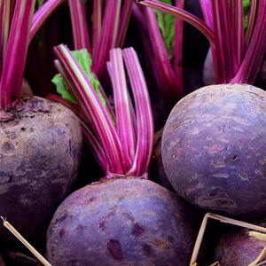 harvested and clean beets in a pile