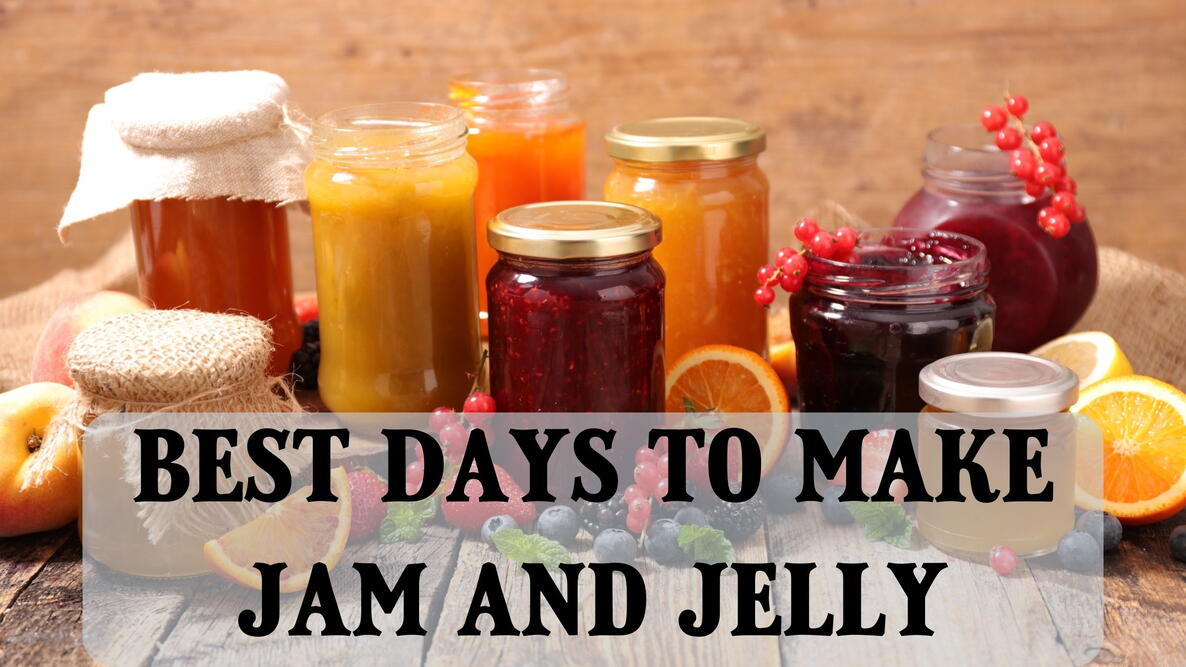 best days to make jams and jellies