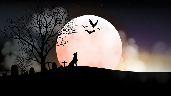 Halloween pumpkins and wolf on full Moon background, vector and illustration.