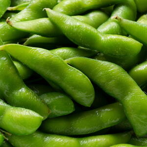 harvested edamame