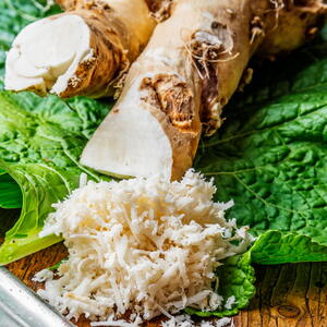 horseradish root after it was harvested in the garden