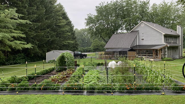 Small row vegetable garden in front of a gray house