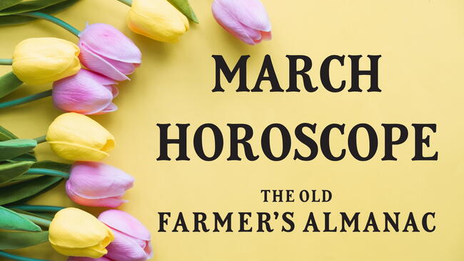 march horoscope, yellow and pink tulips