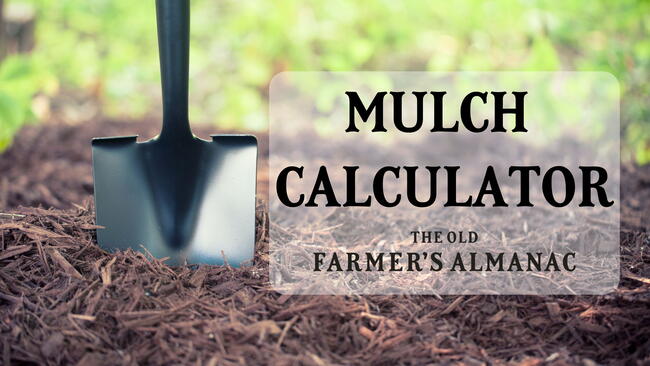 shovel in shredded bark mulch for the garden