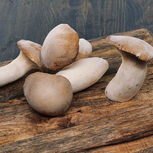 harvested and clean mushrooms on a wooden board