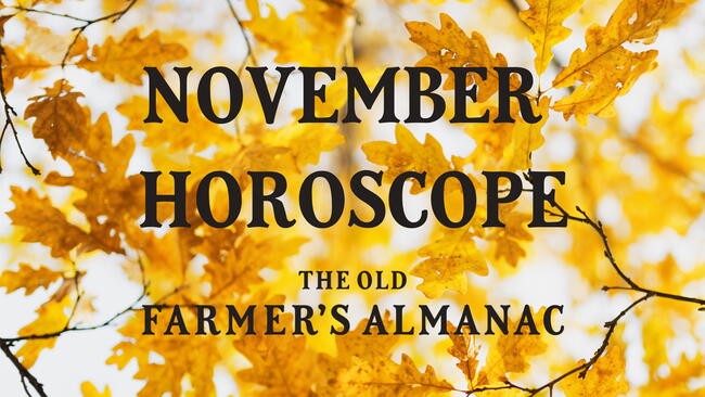 november horoscope, leaves and trees, foliage