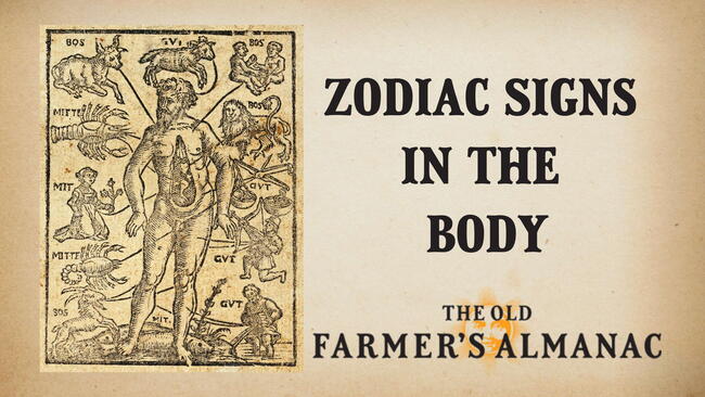 the man of signs, zodiac signs in the body parts