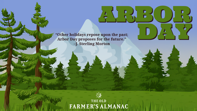 Arbor Day, trees, pine trees