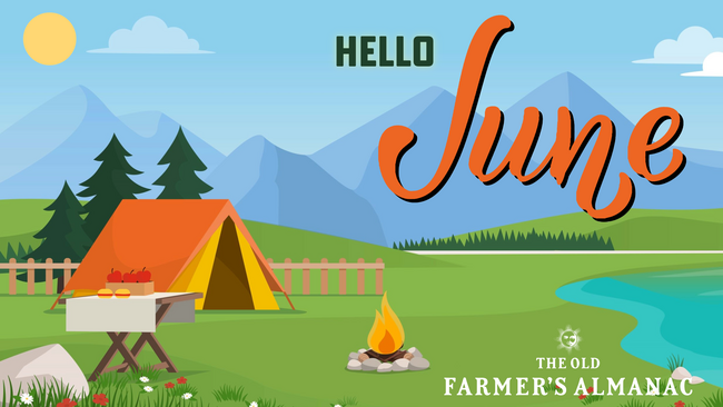 Hello June, Tent on Lake