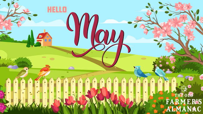 Month of May, Hello May
