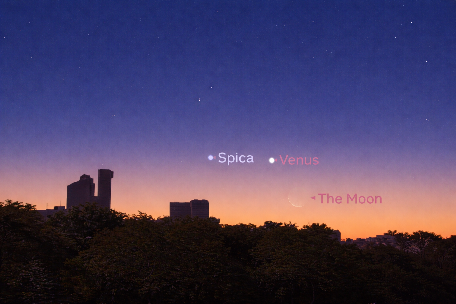 Venus shines near Spica, with the crescent Moon nearby low in the dawn sky.